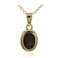 Garnet Silver Necklace