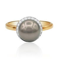 9K Tahitian Pearl Gold Ring (TPC)