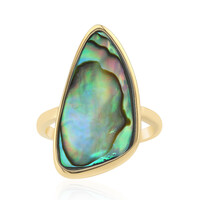 Abalone Shell Silver Ring