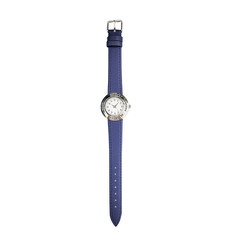 Blue Sapphire Watch