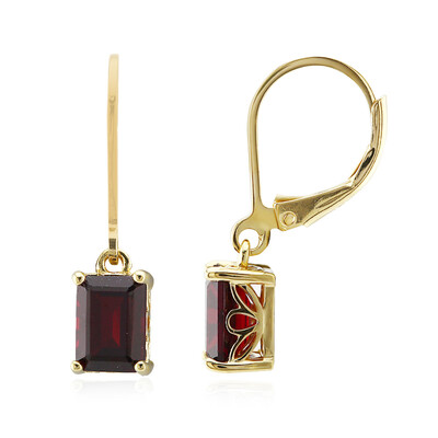 Garnet Silver Earrings