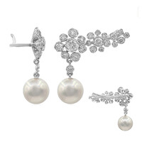 18K Freshwater pearl Gold Earrings (CIRARI)