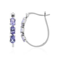 Tanzanite Silver Earrings