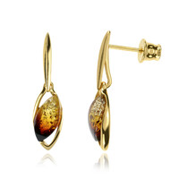 Baltic Amber Silver Earrings