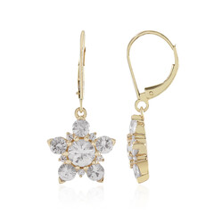 9K Zircon Gold Earrings