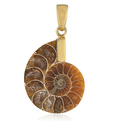 Ammonite Silver Pendant