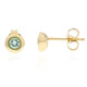 9K Paraiba Tourmaline Gold Earrings (CUSTODANA)