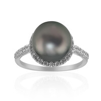 Tahitian Pearl Silver Ring (TPC)