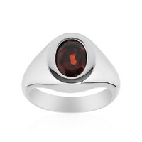 Mozambique Garnet Silver Ring