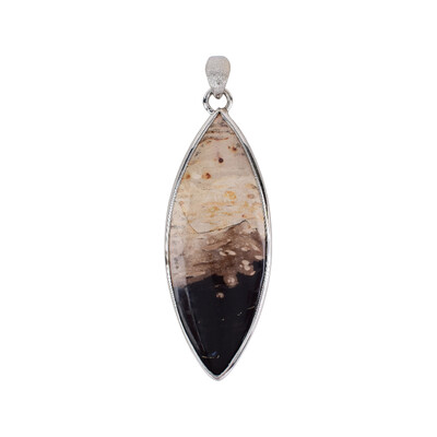 Petrified Wood Silver Pendant