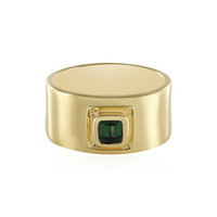 Benedito Green Tourmaline Silver Ring