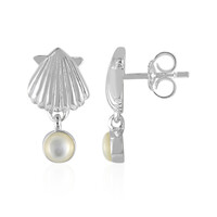 Mother of Pearl Silver Earrings