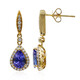 14K AAA Tanzanite Gold Earrings (CIRARI)