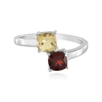 Mozambique Garnet Silver Ring