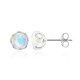 Welo Opal Silver Earrings