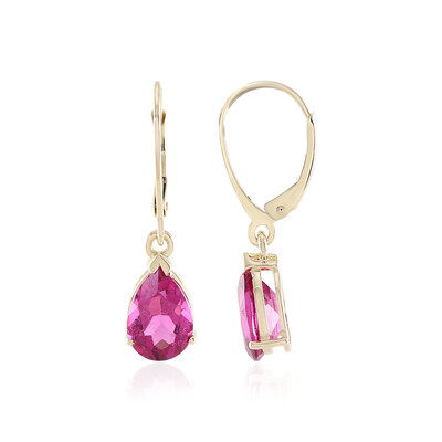 14K Rubellite Gold Earrings (AMAYANI)