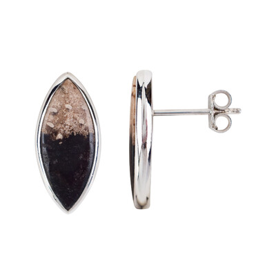 Petrified Wood Silver Earrings