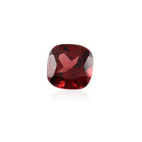 Mozambique Garnet other gemstone 1,14 ct