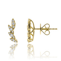 14K I1 (H) Diamond Gold Earrings (CIRARI)