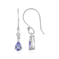 Tanzanite Silver Earrings