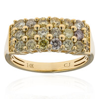 14K SI2 Fancy Diamond Gold Ring (CIRARI)