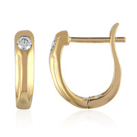 14K IF (D) Diamond Gold Earrings