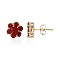 9K Tanzanian Ruby Gold Earrings