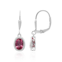 Hot Pink Mystic Topaz Silver Earrings