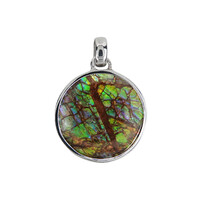 Ammolite Silver Pendant