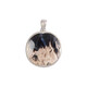 Petrified Palm Wood Silver Pendant