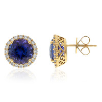 18K AAA Tanzanite Gold Earrings (CIRARI)