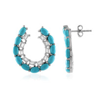 Sleeping Beauty Turquoise Silver Earrings (Faszination Türkis)