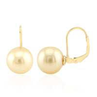 Kabira Golden South Sea Pearl Silver Earrings