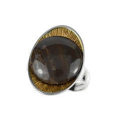 Petrified Wood Silver Ring