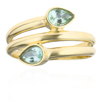 9K Paraiba Tourmaline Gold Ring (CUSTODANA)