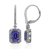 14K AAA Tanzanite Gold Earrings (CIRARI)