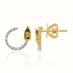 9K Kansas Pallavine Gold Earrings