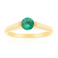 9K Muzo Colombian Emerald Gold Ring (de Melo)