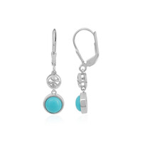 Sleeping Beauty Turquoise Silver Earrings