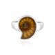 Ammonite Silver Ring