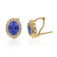 14K AAA Tanzanite Gold Earrings (CIRARI)