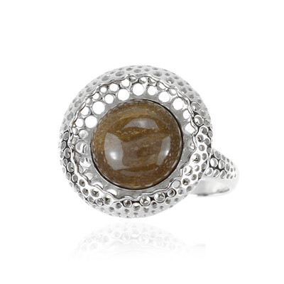 Petrified Wood Silver Ring (dagen)